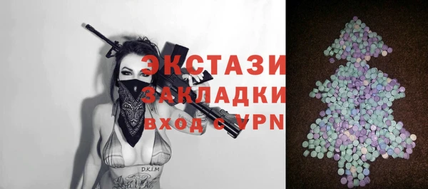 стаф Дмитров