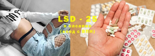 стаф Дмитров