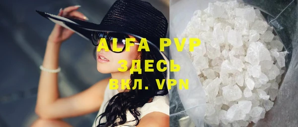 стаф Дмитров