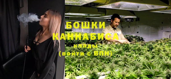 стаф Дмитров