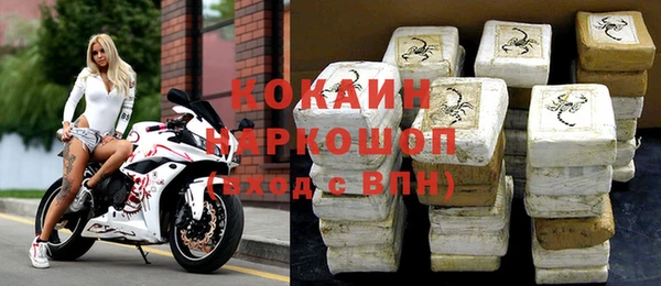 стаф Дмитров