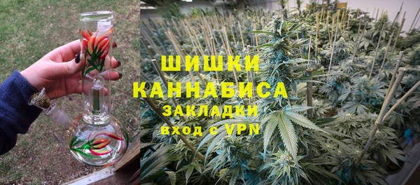 стаф Дмитров