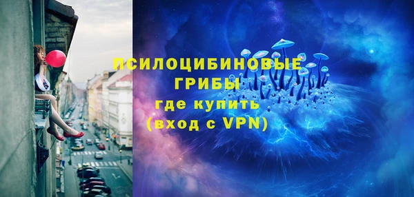 стаф Дмитров