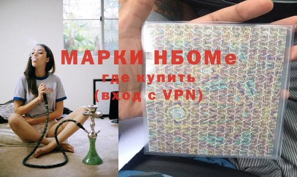 стаф Дмитров